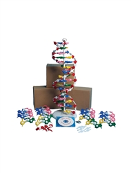 DNA Model Kit