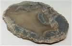 Unpolished Agate Slice - Large