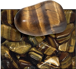 Golden Tiger Eye -1" Tumbled