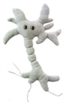 Giant Microbes- Brain Cell