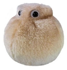 Giant Microbes- Fat Cell