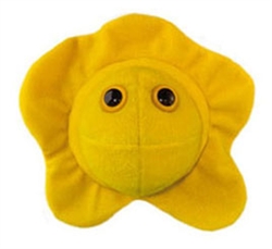 Giant Microbes- Herpes