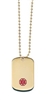 Gold Plated Medical ID Dog Tag