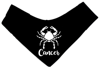 dog bandana