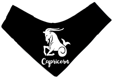 dog bandana
