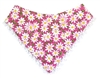 Dog Bandana