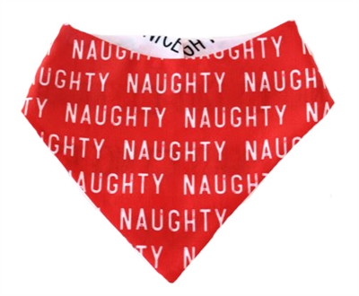 pet bandana
