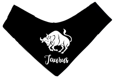 dog bandana