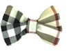 dog hair bows