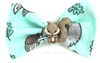 Dog BOW