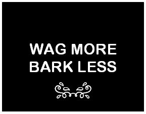 Heat Transfer Vinyl Bandana