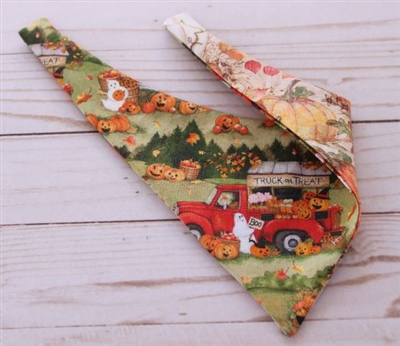 pet bandana