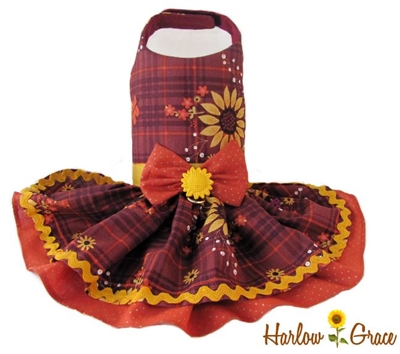Fall dog dresses