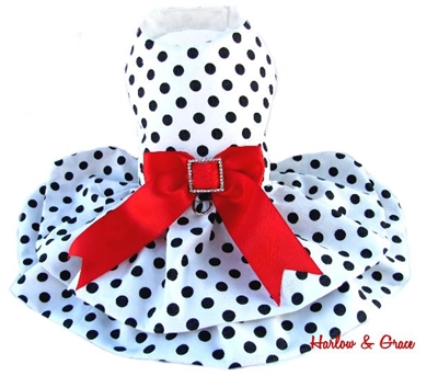 Polka Dot Dress White, Black, Red