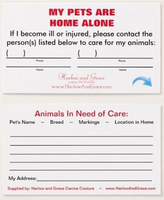 Emergency Contact Card