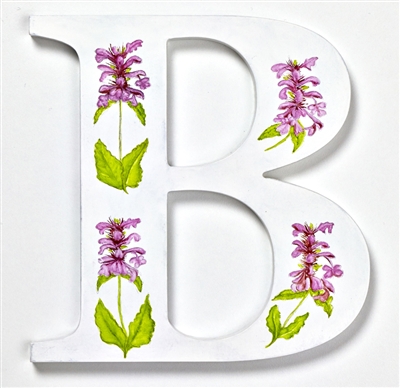 Part of our unique Wild Flower Allphabet by Sarah Sherrington.  Letter B for Betony.