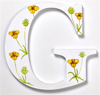 The letter 'G' depicting the wild flower Goldilocks from our unique Wild Flower Alphabet.