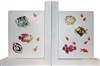 Tropical Fish Book ends