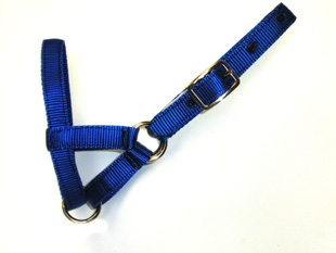 Amish Standard Llama Halters