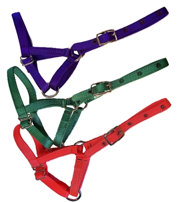 Amish 2-Way Adjustable Alpaca Halters Bundle - Save $6!