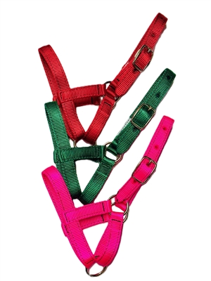 Amish Fixed Ring Alpaca Halters Bundle - Save $6!