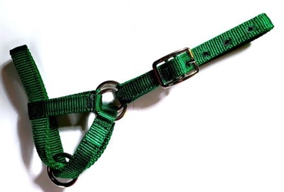 Amish X-Style Alpaca Halters