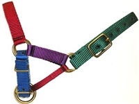 Zephyr Alpaca Halter