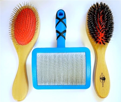 Special Starter Brush Set