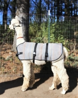 Llama and Alpaca Show Covers