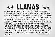 Llama Information Sign