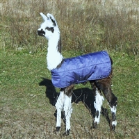 Cria Coats for Llamas & Alpacas