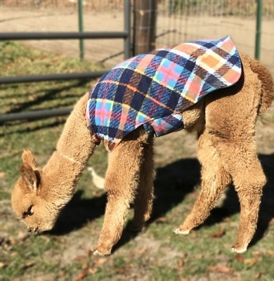 Fleece Cria Blanket