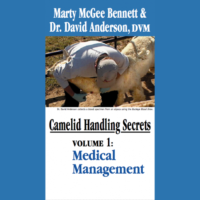 Camelid Handling Secrets by Marty McGee DVD