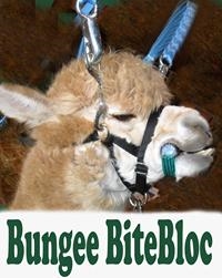 Bungee BiteBloc