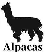 Suri Alpaca Decal