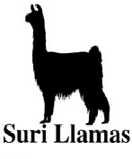 Suri Llama Decal