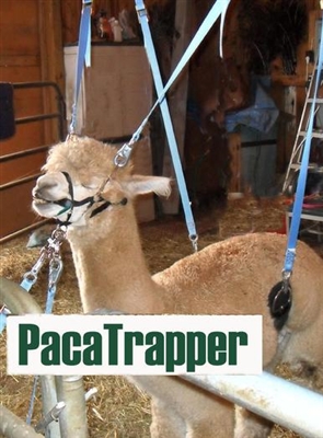 PacaTrapper