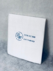 CCFS Downdraft Ceiling Filter (20x66) (6/box)