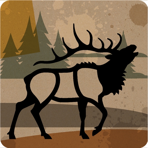 Elk Coaster