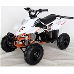 110 Atv Fully Automatic Sport 107cc ATV 4 Wheeler - ACE D110