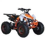 125cc Quad Sport 4 Stroke Fully Auto w/ Reverse ATV - ACE K125