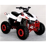 110cc Atv Fully Automatic w/Reverse Sport 4 Wheeler - ACE N110