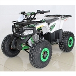125cc Atv Fully Automatic w/Reverse Utility 4 Wheeler - ACE T125 THOR