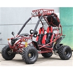 200cc Go Kart Captain 200GSA Automatic w/Reverse Go Kart