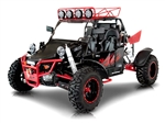 BMS V-Twin 800 Go Kart Sport Side by Side 4x4 Fully Automatic Dune Buggy - V-TWIN BUGGY 800 PLATINUM 2S