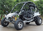200cc Go Kart Big Jaguar RS Fully Automatic Go Kart