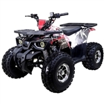125cc Quad Tao Tao 125cc ATV Raptor Mid Size Automatic With Reverse Junior 4 Wheeler