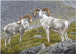 Yukon Fannin Rams