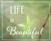 Life is Beautiful by Hal Halli