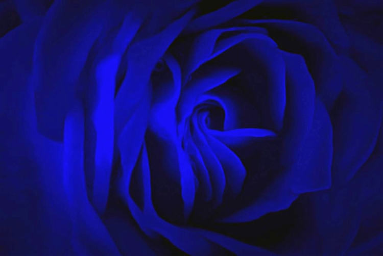 Deep Blue Passion by Krissy Katsimbras